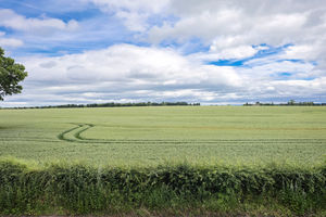 Photo 18- click for photo gallery
